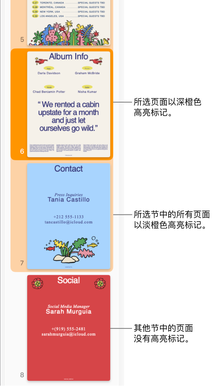 “缩略图视图”边栏，带有以深橙色高亮标记的所选页面以及以浅橙色高亮标记的所选节中的所有页面。
