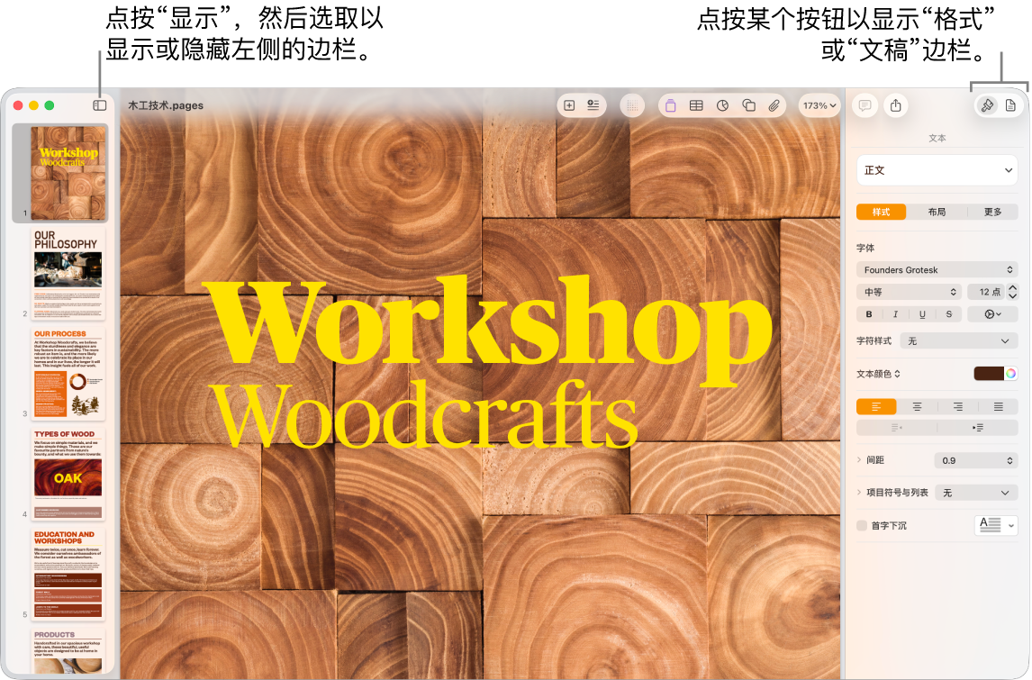 Pages 文稿窗口中带有标注框的“显示”菜单按钮，以及工具栏中的“格式”和“文稿”按钮。左侧和右侧的边栏均为打开状态。