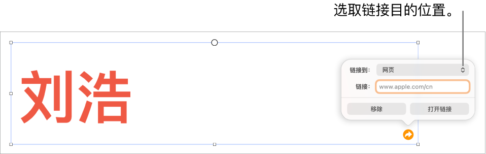 链接编辑器控制，“网页”已选中，“移除”和“打开链接”按钮位于底部。