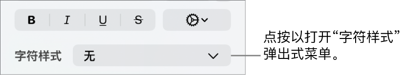 用于更改文本样式和颜色的控制下方的“字符样式”弹出式菜单。