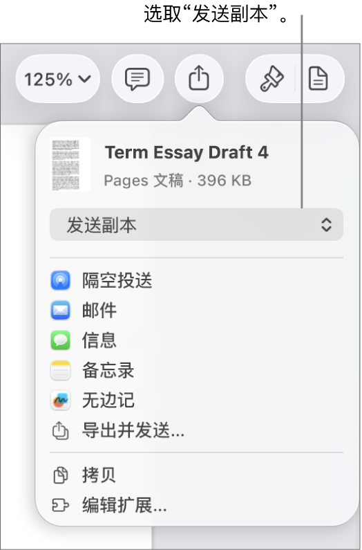 顶部已选中“发送副本”的“共享”菜单。