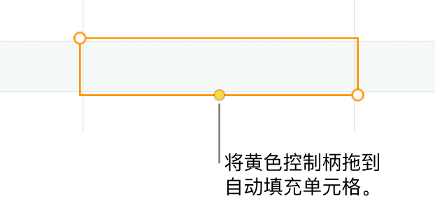 所选单元格带有黄色控制柄，可拖移以自动填充单元格。