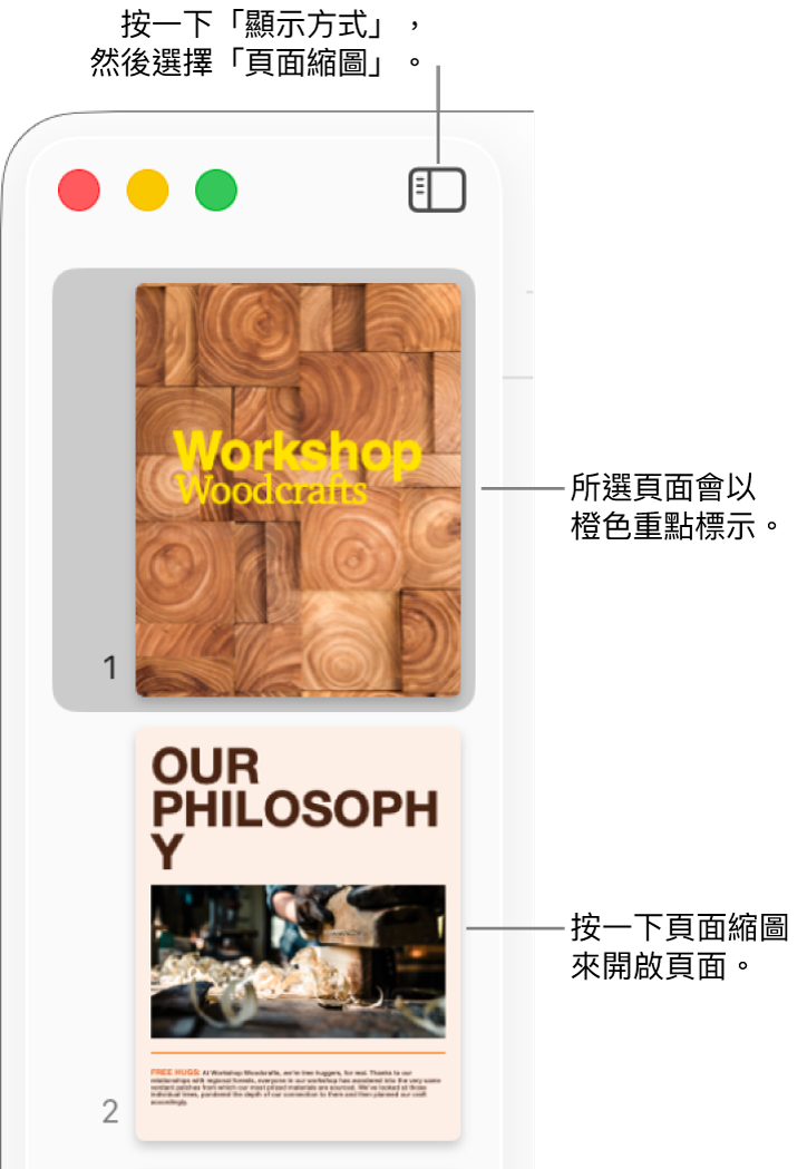 Pages 視窗左側的側邊欄中開啟了「頁面縮圖」顯示方式，所選擇的頁面以深橙色重點標示。