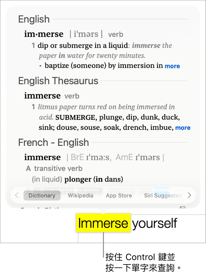 段落包括重點標示的單字，一個視窗顯示其定義和同義詞詞條。視窗底部的按鈕提供了前往字典、維基百科和 Siri 建議的網站之連結。