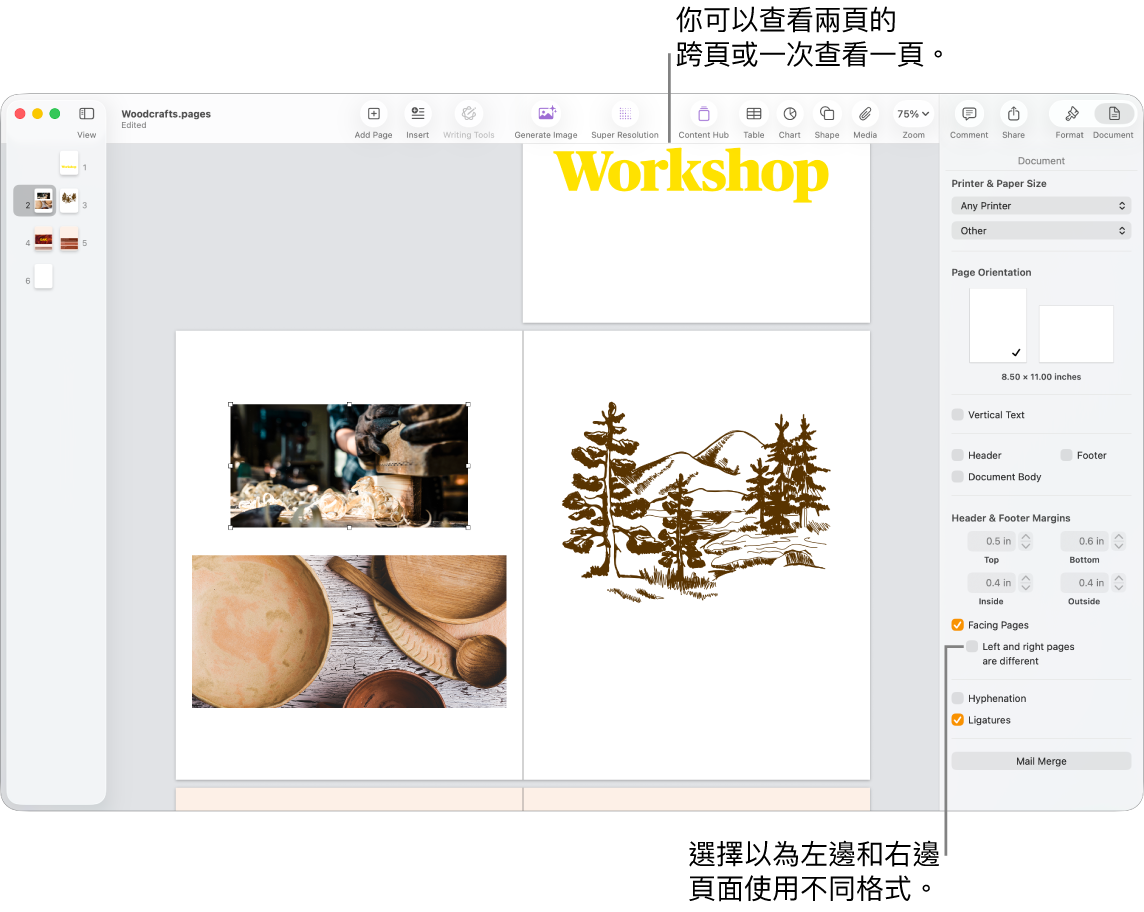 以兩頁全開頁面檢視的附有頁面縮圖之 Pages 視窗和文件頁面。在右側的「文件」側邊欄中,已取消選擇「左頁和右頁不同」剔選框。