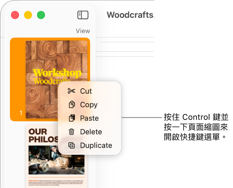 「頁面縮圖」顯示方式,已選取一個縮圖和開啟快捷鍵選單。