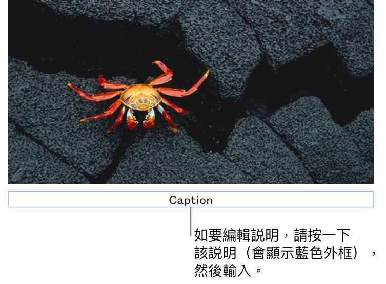 暫存區説明，「説明」在相片下方顯示，説明欄位周圍顯示藍色外框代表其已被選取。