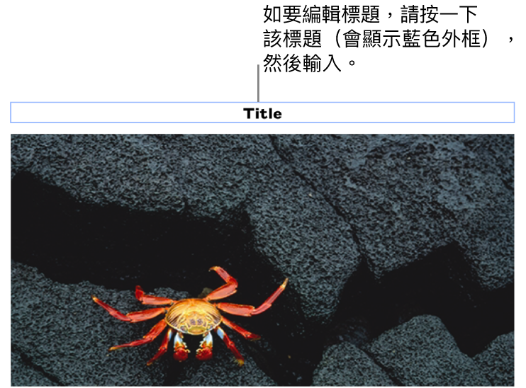 標題説明，「標題」在相片下方顯示，標題欄位周圍顯示藍色外框代表其已被選取。