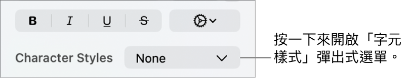 用於更改文字樣式和顏色的控制項目下方顯示「字元樣式」彈出式選單。