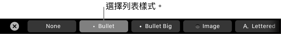 MacBook Pro「觸控欄」,其中有可選擇文字樣式的控制項目。