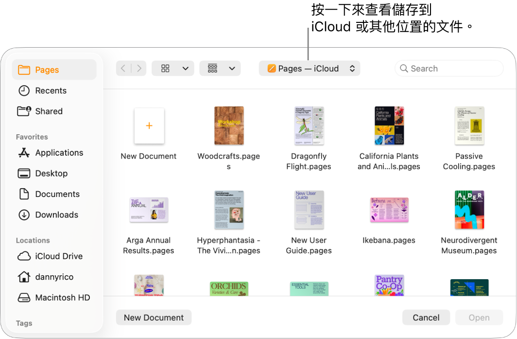 「開啟」對話框的左側開啟側邊欄，最上方的彈出式選單中選擇了 iCloud 雲碟。對話框出現 Pages 資料夾，以及「新增文件」按鈕。