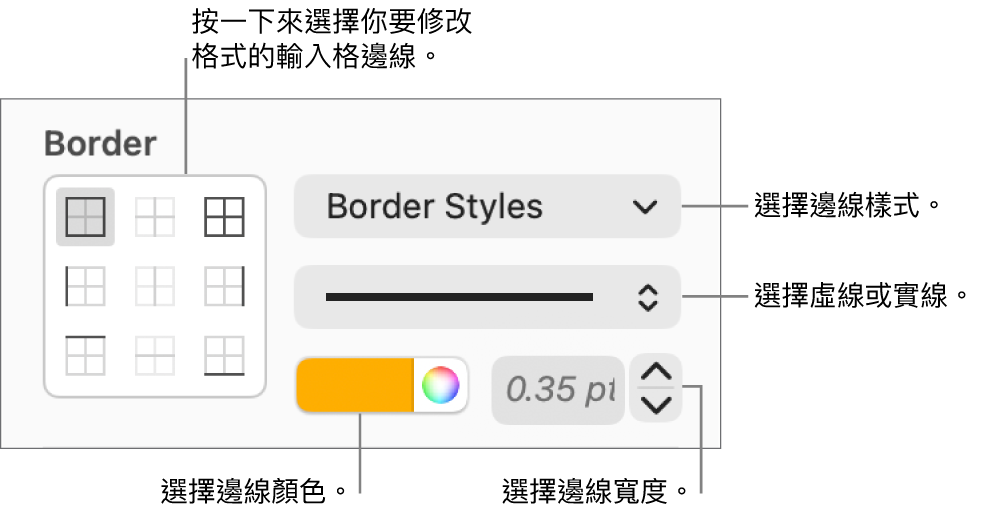 用於設定輸入格邊線樣式的控制項目。