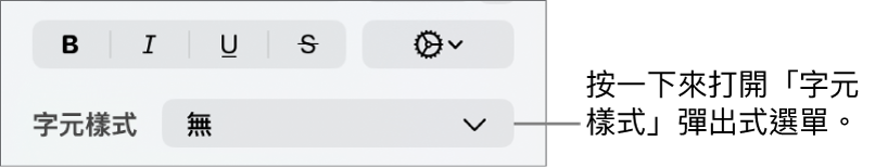 用於更改文字樣式和顏色的控制項目下方顯示「字元樣式」彈出式選單。