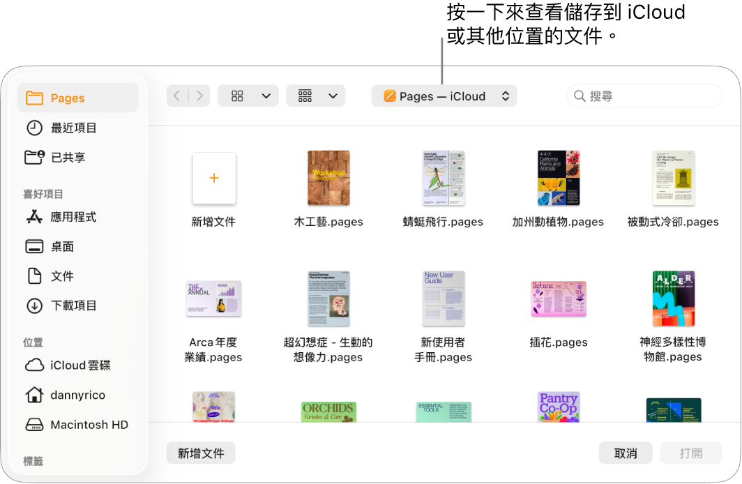 「打開」對話框的左側開啟側邊欄,最上方的彈出式選單中選取了「iCloud 雲碟」。Pages 檔案夾會顯示在對話框中,帶有「新增文件」按鈕。