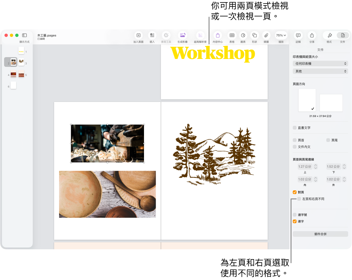 帶有頁面縮覽圖和以雙頁全開檢視文件頁面的 Pages 視窗。在右側的「文件」側邊欄中，「左頁和右頁不同」註記框為未選取狀態。