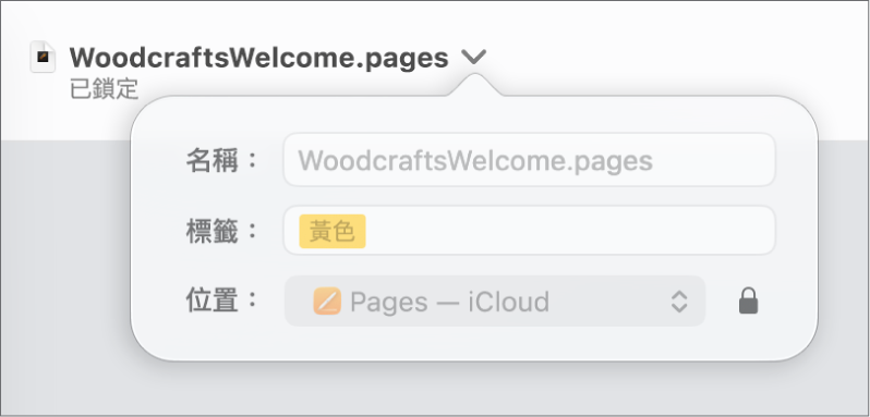 鎖定或解鎖文件的彈出式選項。