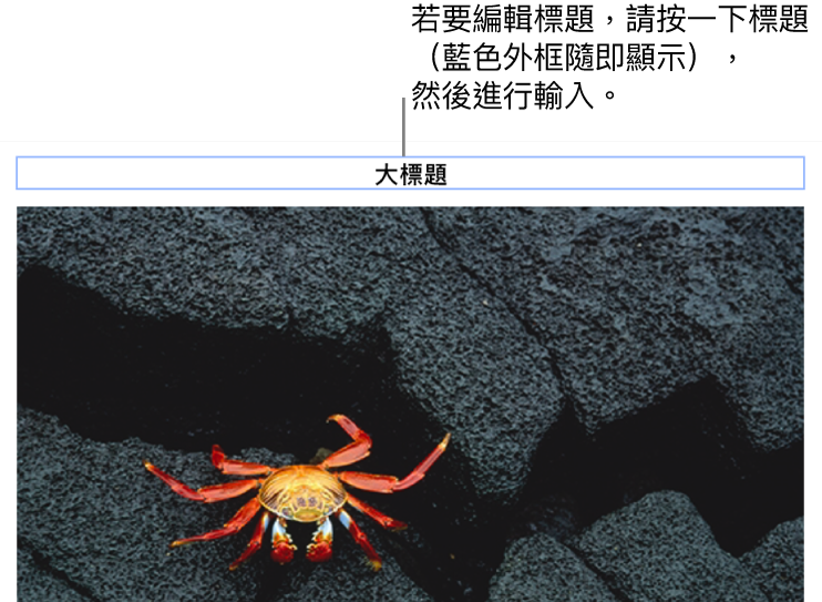 暫存區標題,「標題」顯示在照片下方,藍色外框環繞標題欄位顯示已選取。