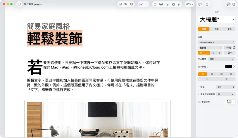 打開的文件顯示打開的格式側邊欄，並選取了文字標籤頁。