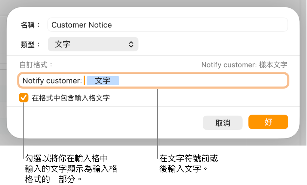 帶有控制項目的自訂輸入格格式視窗,用來選擇自訂文字格式。
