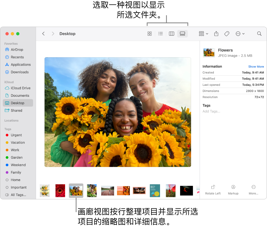 “访达”窗口显示位于左侧的“访达”边栏,以及窗口底部被选中的图像文件。在中间,“预览”面板显示图像看起来如何,右侧是图像的详细信息和快速操作按钮。