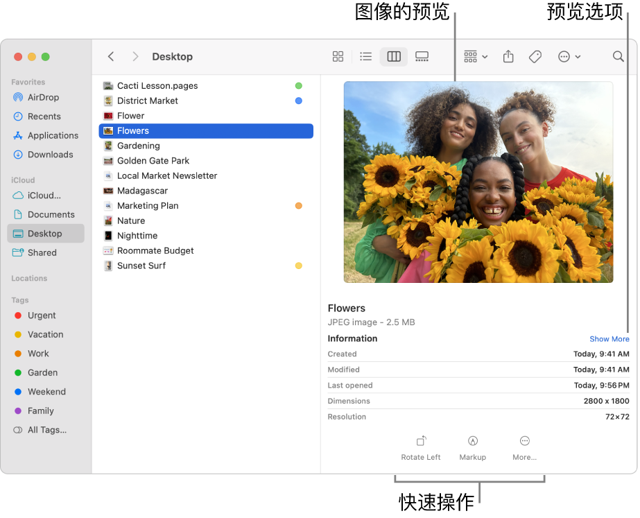 “访达”窗口显示位于左侧的“访达”边栏,以及窗口中间被选中的图像文件。在右侧,“预览”面板显示图像看起来如何,下方是图像的详细信息,底部是快速操作按钮。