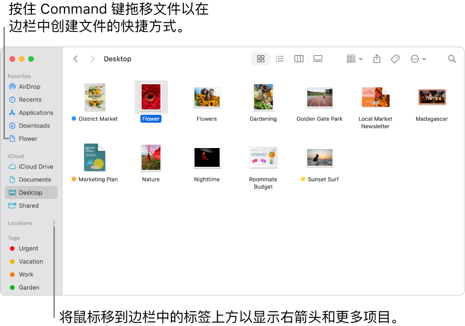 “访达”边栏中“位置”的右侧是一个箭头,可供点按以显示更多项目。在右侧的“访达”窗口中,文件被选中,文件的快捷方式(位于“个人收藏”下方)显示在边栏中。