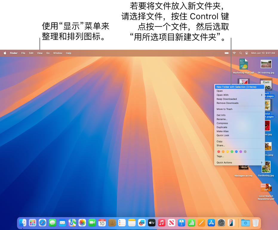 显示文件和文件夹的桌面。多个文件被选中并放入新文件夹。按住 Control 键点按所选文件后显示弹出式菜单,其中“用所选项目新建文件夹”被选中。