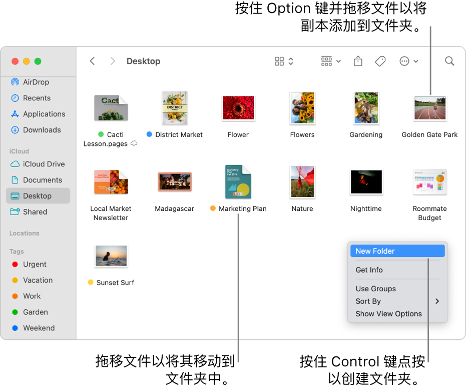 包含文件和文件夹的“访达”窗口。在快捷键菜单中,“新建文件夹”已高亮标记。