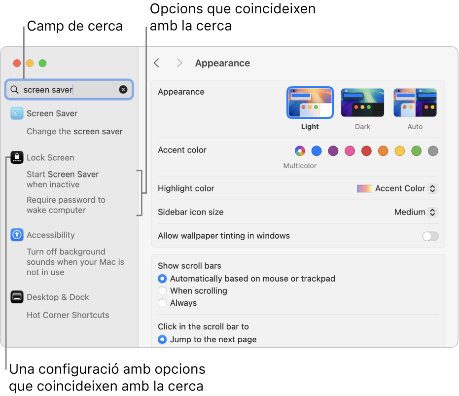 La finestra de “Configuració del Sistema” que mostra “estalvi de pantalla” al camp de cerca i una llista de resultats de cerca coincidents a sota del camp de cerca.