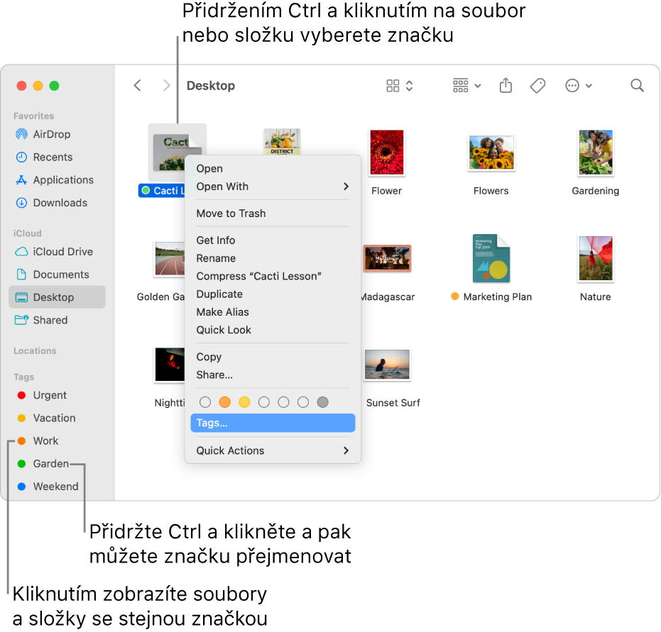 Okno Finderu, v němž jsou vidět soubory a složky opatřené značkami a jeden vybraný soubor. V nabídce zkratek jsou vidět značky s různými barvami a je zvýrazněna volba Značky