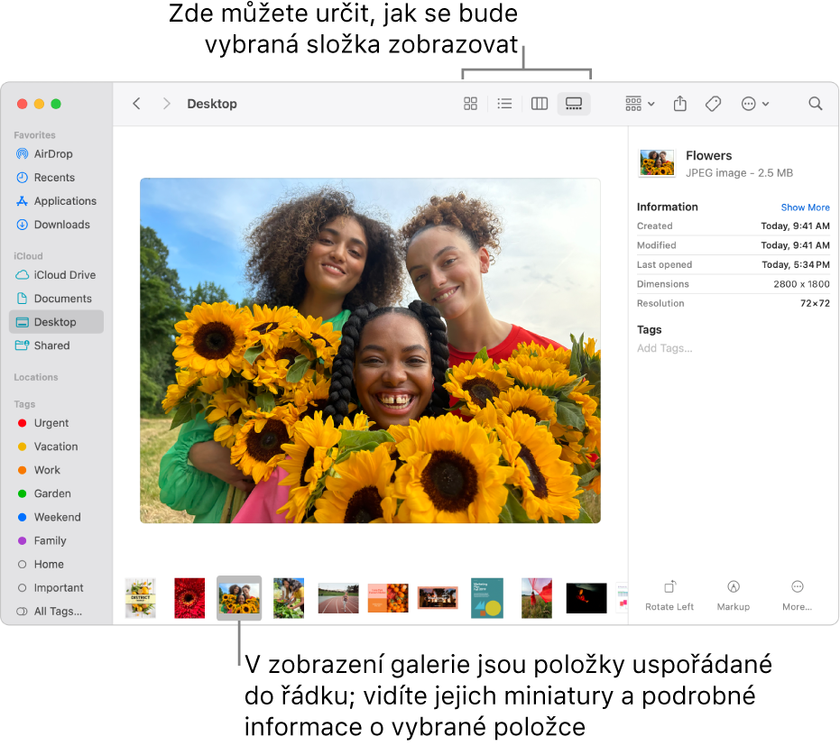 Okno Finderu s bočním panelem Finderu vlevo a s vybraným obrázkovým souborem v dolní části okna Ve střední části panel Náhled ukazuje, jak obrázek vypadá, vpravo jsou podrobnosti o obrázku a tlačítka pro rychlé akce