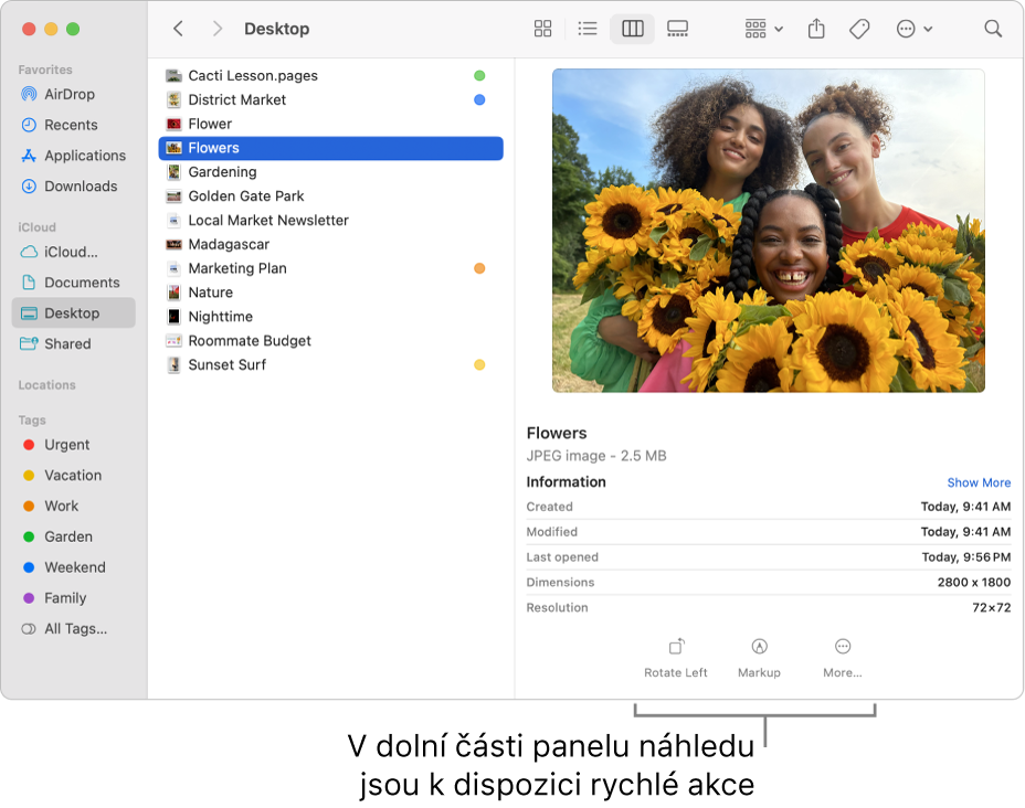 Dolní část panelu náhledu s tlačítky pro rychlé akce