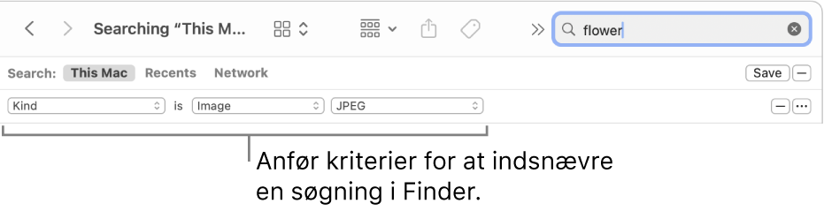 Et Findervindue med felter til angivelse af søgekriterier.