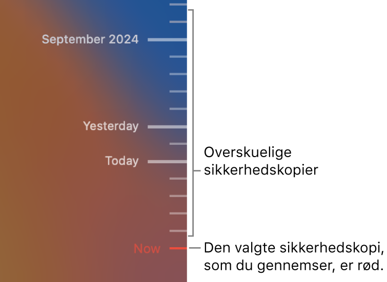 Hakker på tidslinjen til sikkerhedskopier. Den røde hak angiver den sikkerhedskopi, du er ved at gennemse.