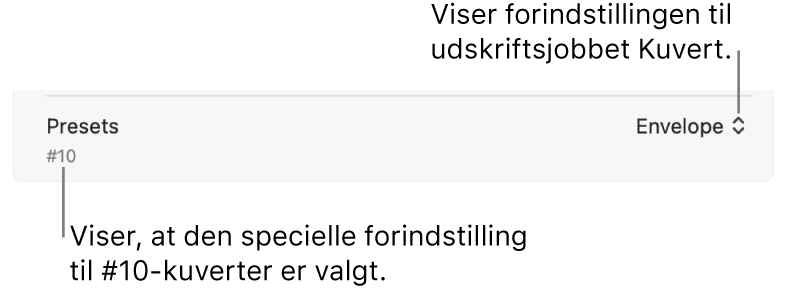 Området Forudindstillinger i dialogen Udskriv, hvor en forindstilling til et udskriftsjob (konvolut) og den specielle forindstilling til en #10-kuvert er valgt.