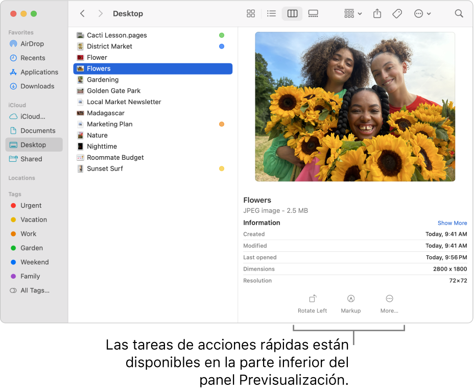 La parte inferior del panel de previsualización, con los botones de “Acciones rápidas”.
