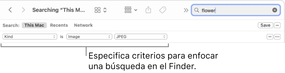 Una ventana del Finder con campos para especificar criterios de búsqueda.