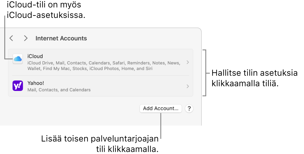 Internet-tilit-asetukset, joissa on lueteltu Macissa käyttöönotetut tilit.