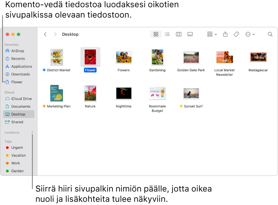 Sijainnit-kohdan oikealle puolella Finderin sivupalkissa on nuoli, jota klikkaamalla näkyviin tulee lisää kohteita. Finder-ikkunassa oikealla on valittuna tiedosto, ja sivupalkissa on oikotie tiedostoon Suosikit-kohdan alla.