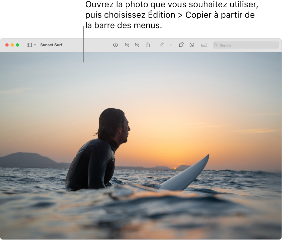 L’app Aperçu qui affiche une image à copier.