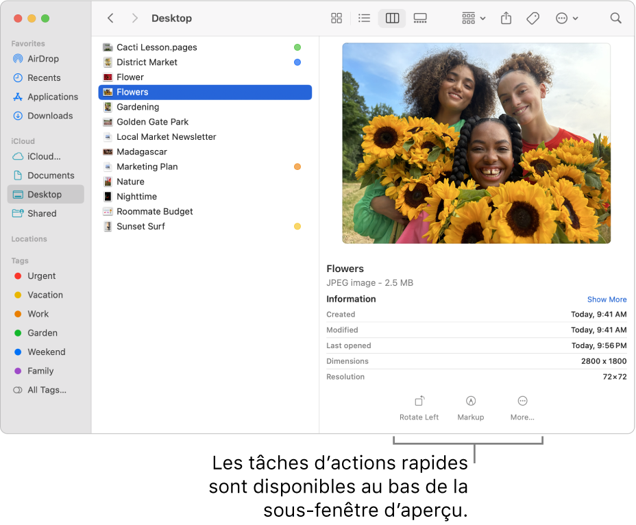 Le bas de la sous-fenêtre Aperçu qui affiche les boutons de la barre d’Actions rapides.