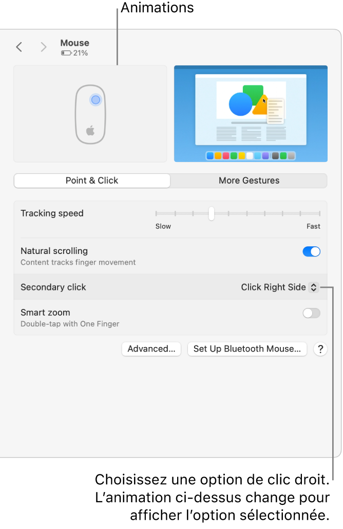 Les Options de souris dans Réglages système montrant l’option de clic secondaire définie à Cliquer sur le côté droit et l’animation correspondante.