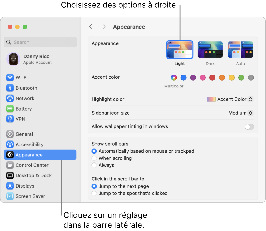 La fenêtre Réglages Système, avec les réglages Apparence sélectionnés dans la barre latérale et les options Apparence à droite.