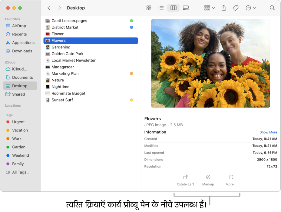 प्रीव्यू पेन के नीचे की एक झलक जो क्विक ऐक्शंस टास्क बटन दिखाती है।