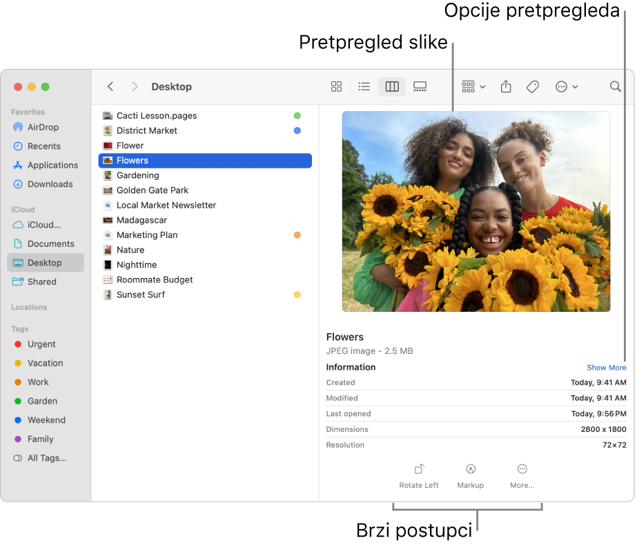 Prozor Findera prikazuje rubni stupac Findera slijeva i datoteku slike odabranu po sredini prozora. Prozor Pregled s desne strane prikazuje kako slika izgleda, s detaljima slike ispod toga i tipke Brzi postupci na dnu.