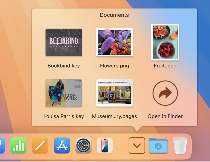 La cartella Download si apre con i suoi elementi visualizzati come griglia.