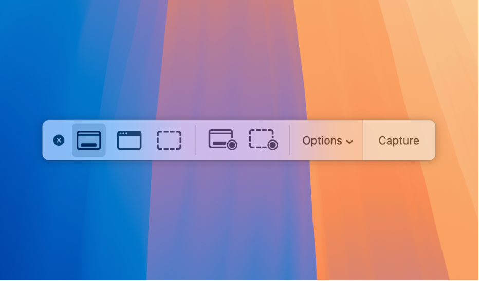 Il pannello di Screenshot che mostra le icone che puoi usare per selezionare un’area dello schermo da acquisire, il pulsante Opzioni e il pulsante Acquisisci.