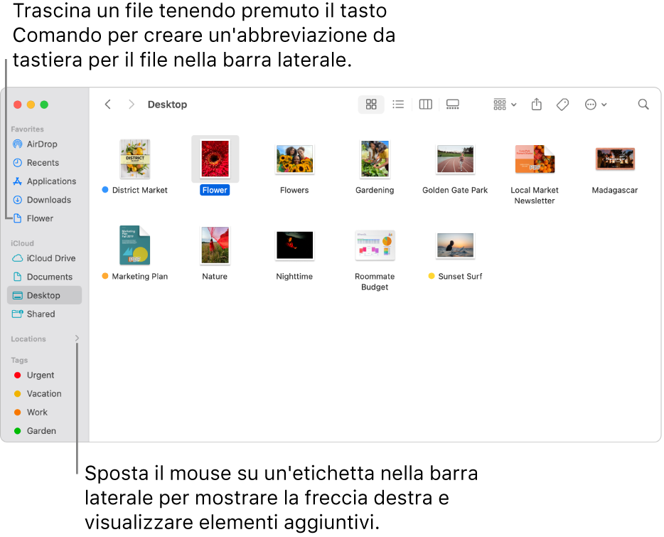 Alla destra di Posizioni, nella barra laterale del Finder, è presente una freccia su cui fare clic per mostrare elementi aggiuntivi. Nella finestra del Finder sulla destra, c’è un file selezionato e un’abbreviazione al file nella barra laterale, sotto Preferiti.