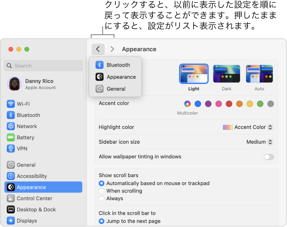 「システム設定」ウインドウ。「戻る」ボタンの下に最近表示した設定が表示されています。