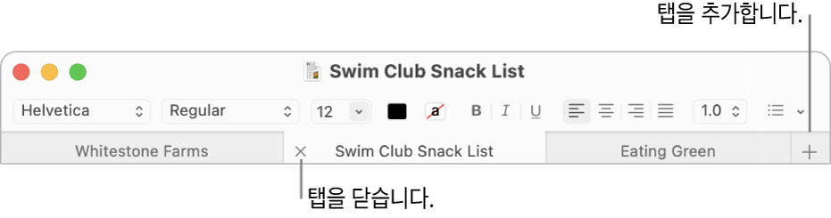 포맷 막대 하단 탭 막대 세 개의 탭이 있는 텍스트 편집기 윈도우 한 탭에 닫기 버튼이 있으며 추가 버튼은 탭 막대 맨 오른쪽에 있습니다.